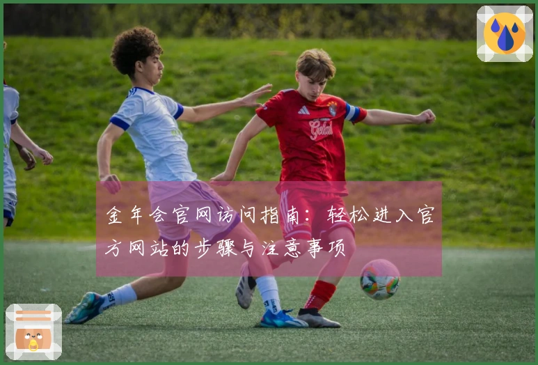 金年会官网访问指南：轻松进入官方网站的步骤与注意事项